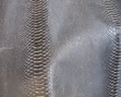 P8170296 [Desktop Resolution].JPG
